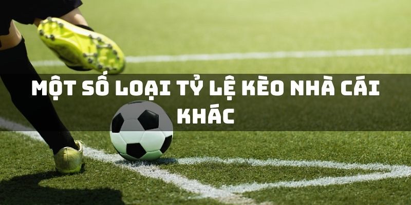 Tỷ lệ kèo nhà cái Mẹo nâng cao hiệu quả khi sử dụng tỷ lệ kèo nhà cái