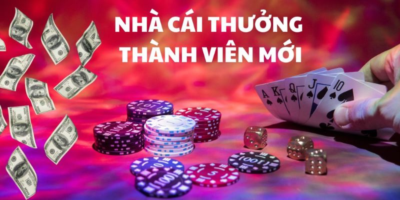 Nhà cái dễ sử dụng Những ưu đãi dành riêng cho người mới